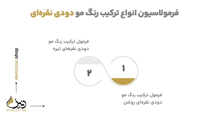 فرمولاسیون انواع ترکیب رنگ مو دودی نقره‌ای